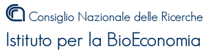 Consiglio Logo