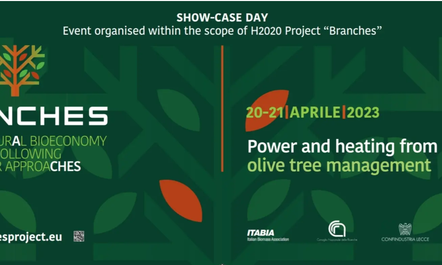 International workshop during FIUSIS Showcase Day – invitation